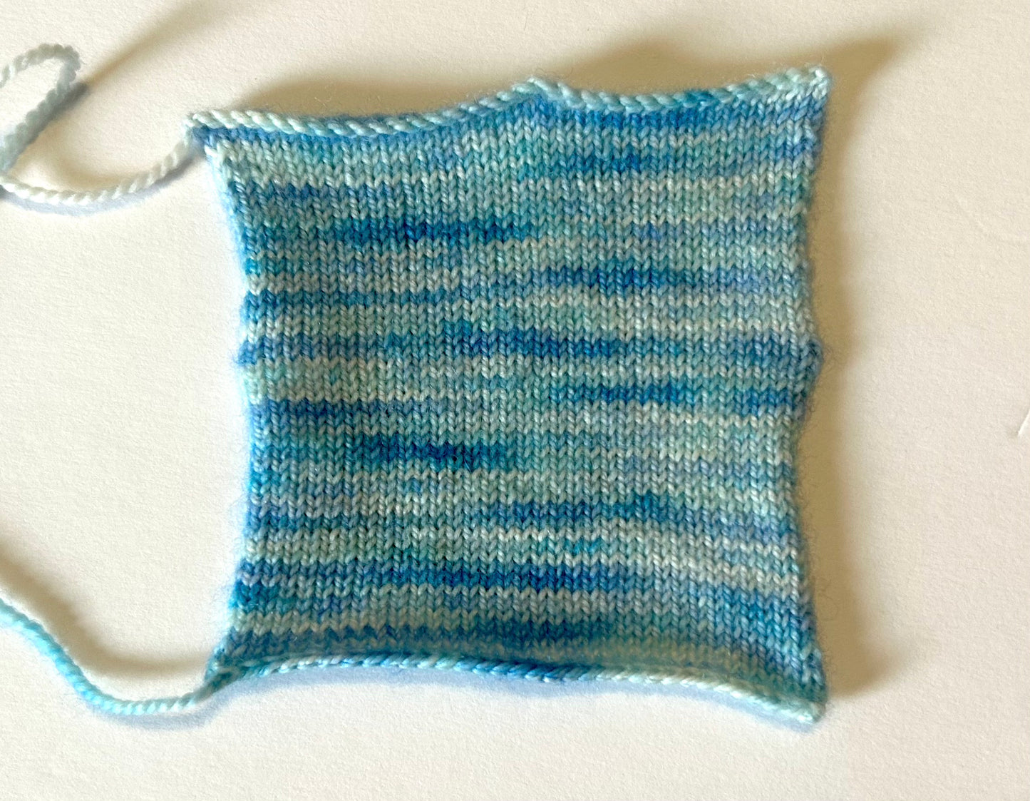 Blue Hydrangeas (Variegated) - Millie & Maggie Fiber Arts