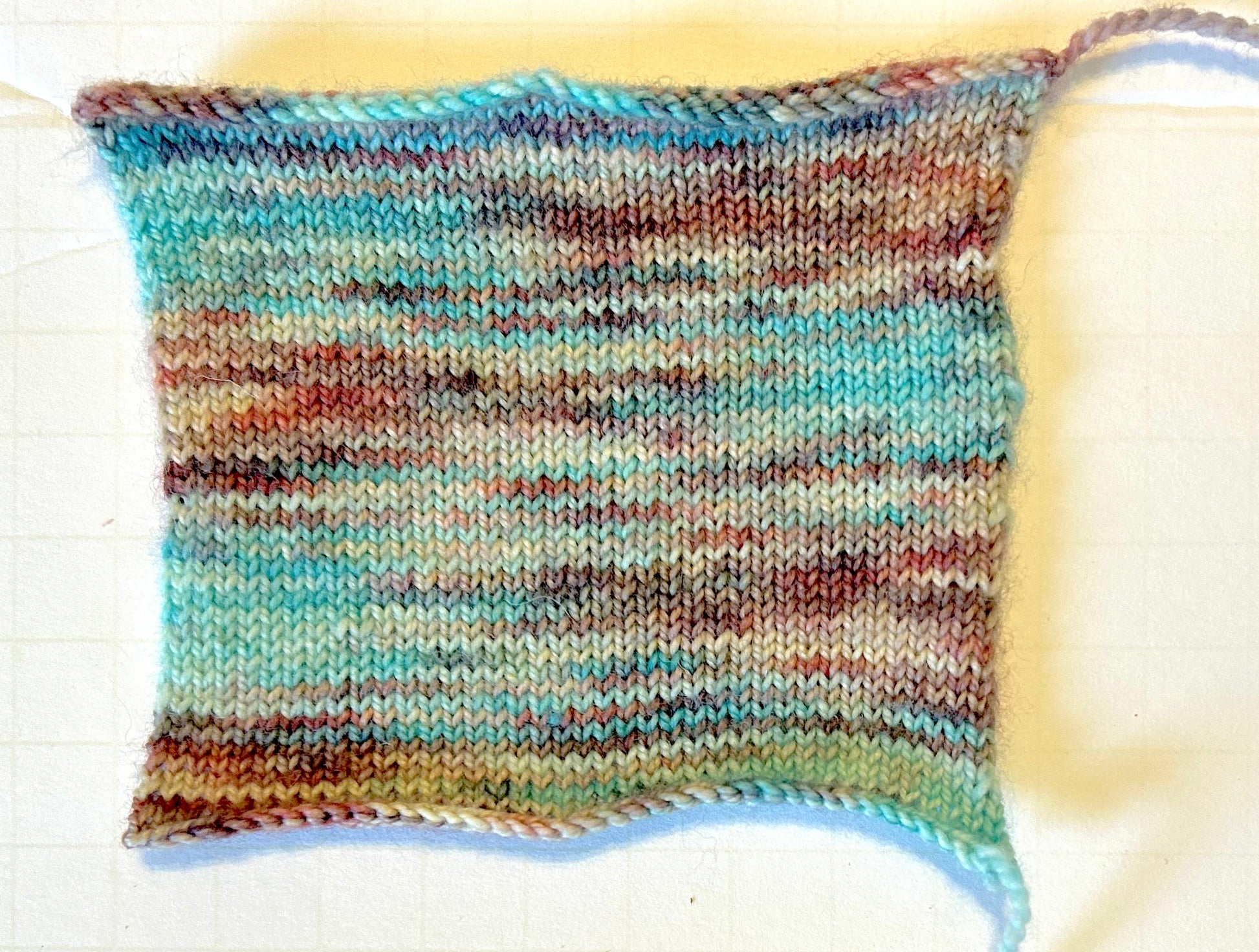 Harlequin and Acrobat (Variegated) - Millie & Maggie Fiber Arts