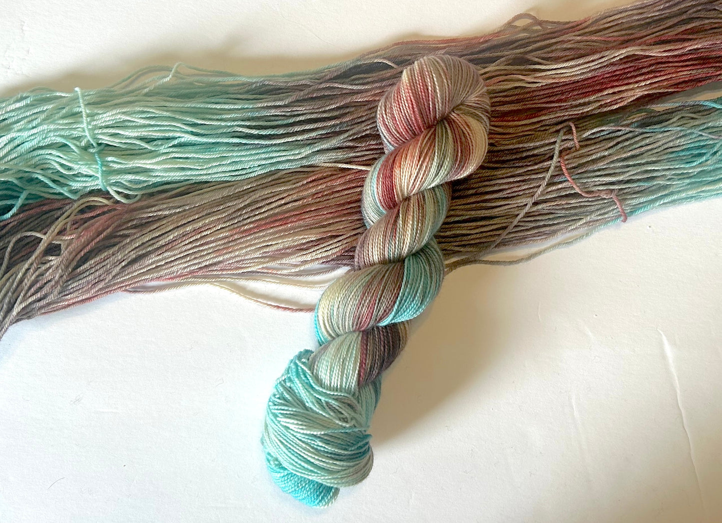 Dyed to Order Harlequin and Acrobat (Variegated) - Millie & Maggie Fiber Arts